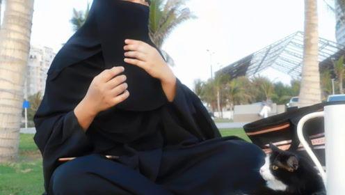 娱乐吃瓜君17集,揭秘娱乐圈背后的惊人真相